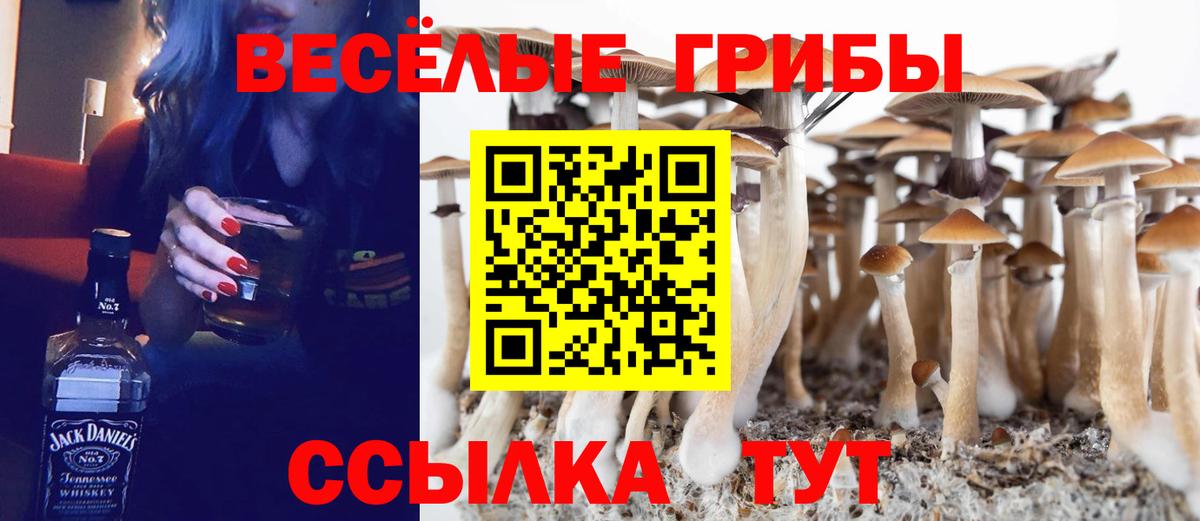 Куйбышев  дарнет шоп  Вход с VPN  Псилоцибиновые грибы Magic Shrooms  Галлюциногенные грибы Psilocybine cubensis 