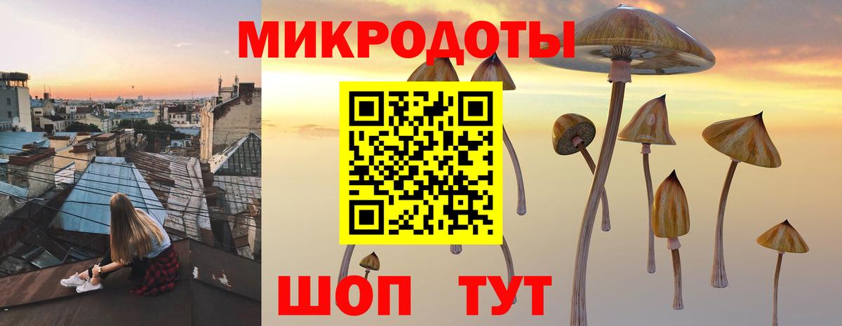 Галлюциногенные грибы Psilocybe Куйбышев